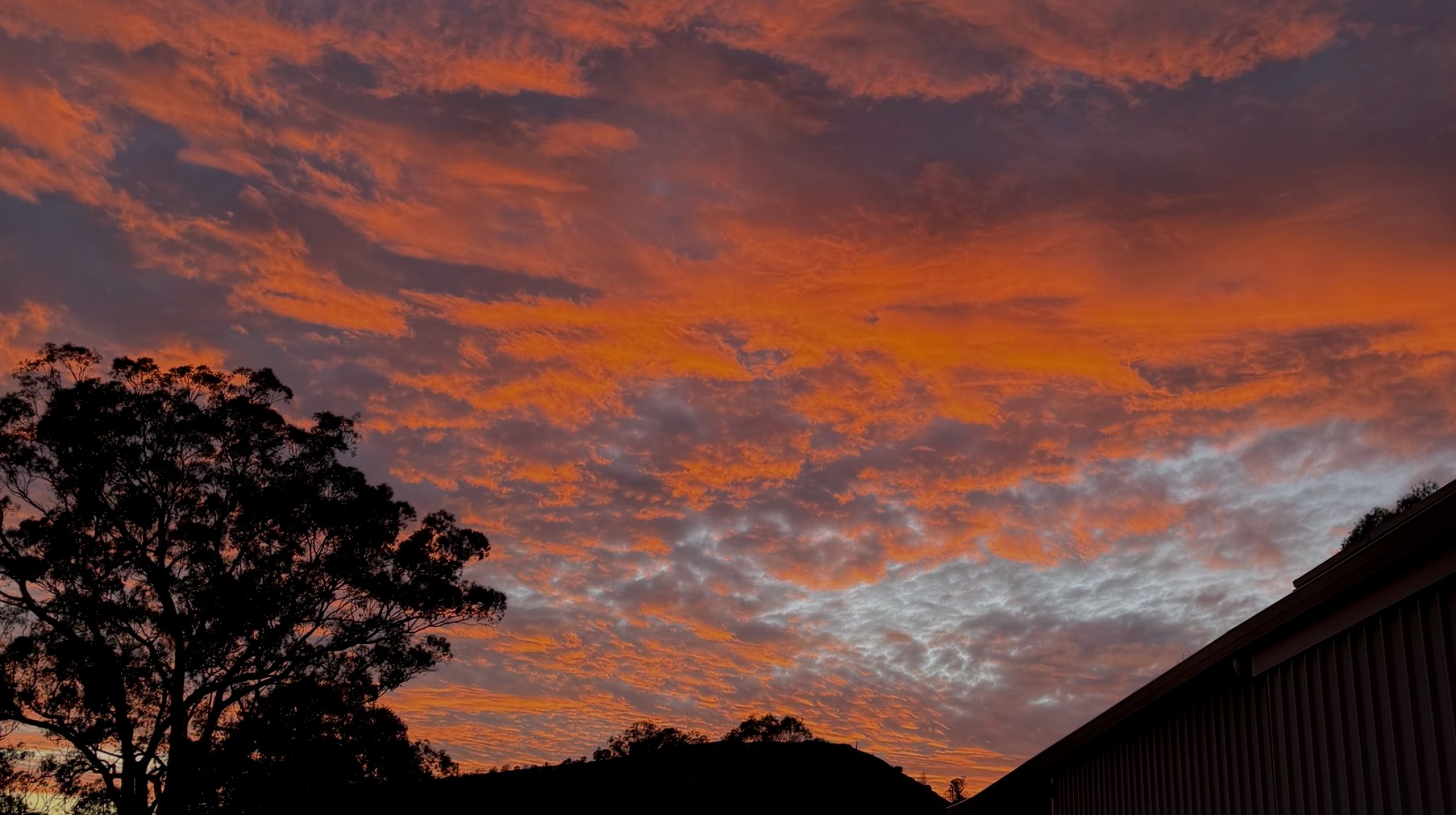 Dawn over the farm at Locksley