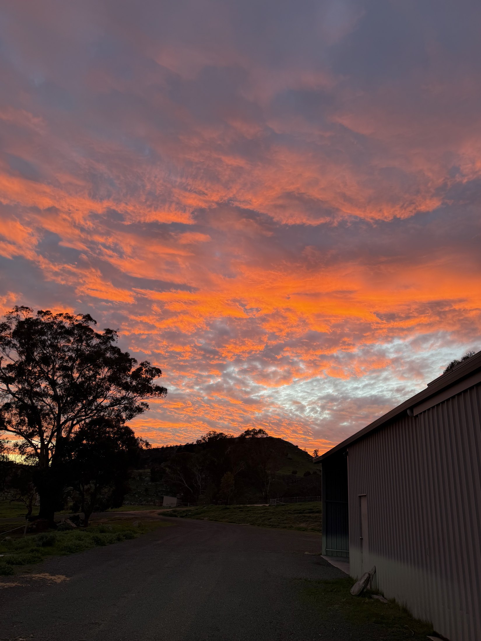 Dawn over the shed at the Locksley farm