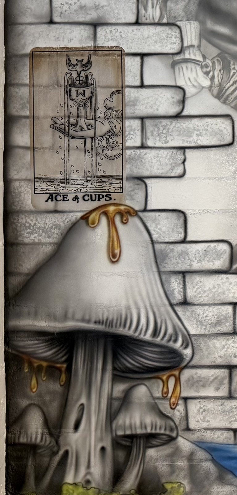 The Ace of Cups painted on brickwork above honey-covered mushrooms